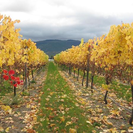 Korohi Vineyard Bnb Blenheim Bagian luar foto